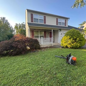 Cleanups by Shawn Schatzabel reviewed on September 5, 2024