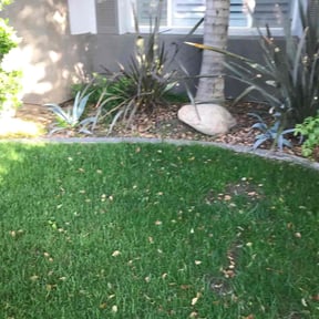 Bush Trimming by Maciel Landscaping reviewed on March 28, 2025