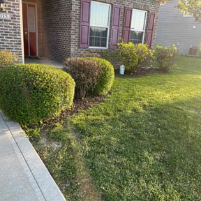 Bush Trimming by Contreras Outdoors reviewed on November 26, 2024