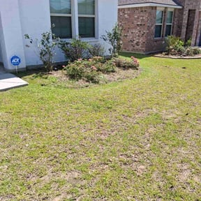 Flower Bed Weeding by Buddys Mow Blow Go Lawncare reviewed on July 2, 2025