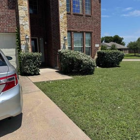 Bush Trimming by We Care Lawn Care Co. reviewed on December 12, 2024