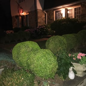 Bush Trimming by Nicks 20/20 lawn care reviewed on June 28, 2022