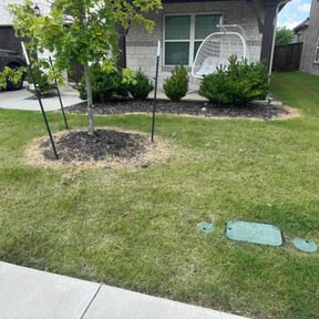 Flower Bed Weeding by BSM & Co. Landscaping reviewed on May 26, 2022