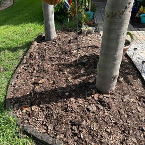 Flower Bed Weeding by ECO Cuts NW reviewed on May 24, 2022