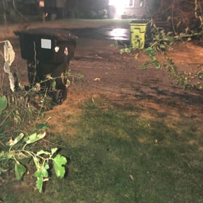 Leaf Removal by Nicks 20/20 lawn care reviewed on July 28, 2022