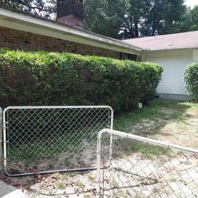 Bush Trimming by Mike Mow Pros LLC reviewed on July 12, 2022