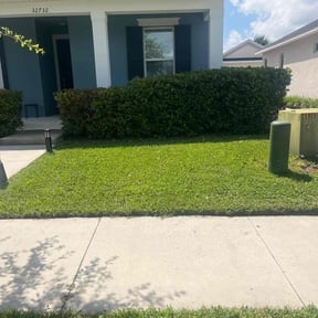 Bush Trimming by Lewis Lawn solutions reviewed on July 21, 2025