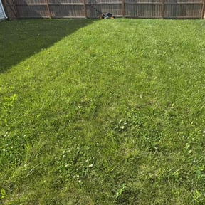 Cleanups by Babcock Enterprises LLC reviewed on May 11, 2022