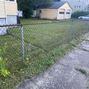 Bush Trimming by TwinEagleLandscaping reviewed on October 29, 2021