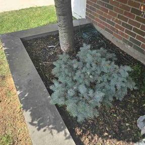 Flower Bed Weeding by TNT Lawn Care reviewed on June 15, 2022