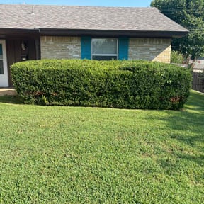 Bush Trimming by Swamp creek reviewed on April 15, 2025