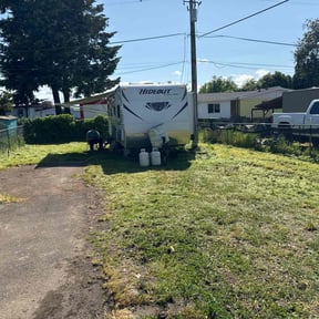 Flower Bed Weeding by RMZ Landscape Services LLC reviewed on May 15, 2025