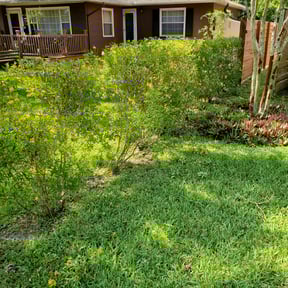 Bush Trimming by MULTIMIL reviewed on June 26, 2025