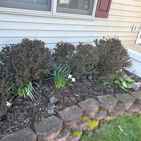 Flower Bed Weeding by Sgp Lawn services reviewed on July 28, 2022