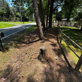 Flower Bed Weeding by Trophy Lawns of Georgia reviewed on June 19, 2022