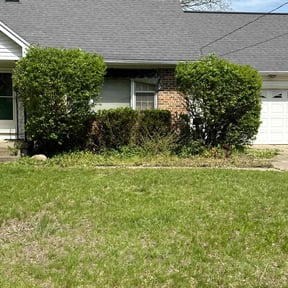 Leaf Removal by Lawn Star Rangers reviewed on June 1, 2022