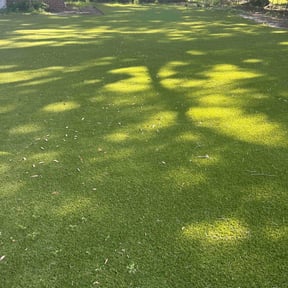Leaf Removal by Lawn care Love service's reviewed on June 30, 2022