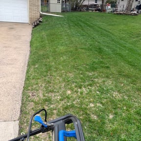 Leaf Removal by All in the family landscaping reviewed on May 28, 2022