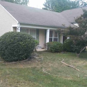 Bush Trimming by Cannon Lawn & Landscapes LLC reviewed on June 13, 2025