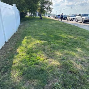 Flower Bed Weeding by C.L.I.P.S reviewed on July 8, 2022