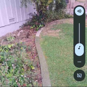 Flower Bed Weeding by Guillen Lawn Care reviewed on September 2, 2024