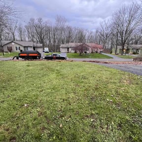Leaf Removal by Felo Pride lawn services reviewed on May 29, 2022