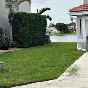 Bush Trimming by Marroquín Landscaping LLC reviewed on August 27, 2024
