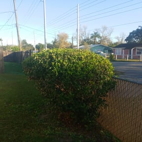 Bush Trimming by OC Lawn Care Services reviewed on June 13, 2025