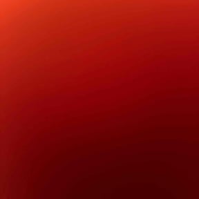 Leaf Removal by The Lawn Cypress reviewed on December 5, 2024