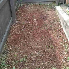 Cleanups by LSLTDallas/FortWorthTruGreen reviewed on June 23, 2025