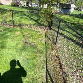 Leaf Removal by On the Go Landscaping reviewed on June 8, 2025