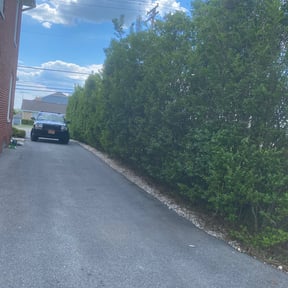 Bush Trimming by M K's Ultra Property Maintenance reviewed on April 8, 2022