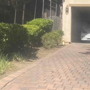 Bush Trimming by Edwards Lawn and Landscaping Service reviewed on May 13, 2022
