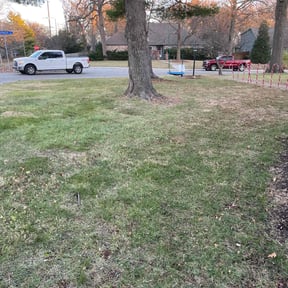 Leaf Removal by Helms landscaping llc reviewed on July 5, 2022