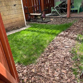 Flower Bed Weeding by Sgp Lawn services reviewed on June 29, 2022