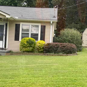 Bush Trimming by Newgrowth Lawn and Landscape Services reviewed on March 7, 2025