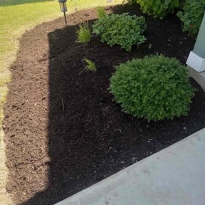 Mulching by OMC lawncare reviewed on August 2, 2025