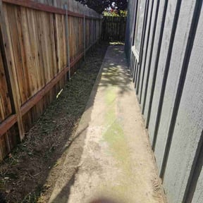 Cleanups by Foresight Landscape Maintenance and Design reviewed on October 28, 2022