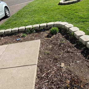 Mulching by SK Services reviewed on June 29, 2022