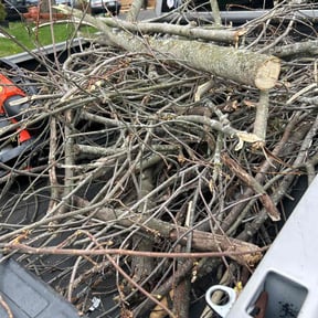 Leaf Removal by Donald Austile Lawn Care reviewed on July 18, 2022