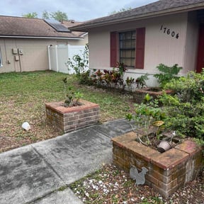 Leaf Removal by Thrive Outdoor Services LLC reviewed on June 30, 2022