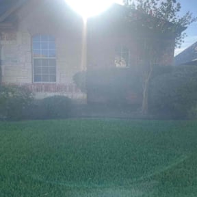 Bush Trimming by Salvador Gonzalez reviewed on April 27, 2025
