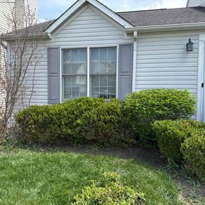 Bush Trimming by Luppi Sales LLC reviewed on June 1, 2022