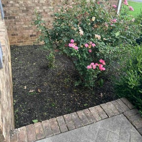 Weeding by YARD M.D. LLC reviewed on January 1, 2025