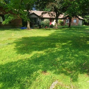 Flower Bed Weeding by Marcos 404v ladscaping reviewed on April 8, 2022