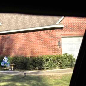 Bush Trimming by Hernandez Family Lawn reviewed on November 24, 2021