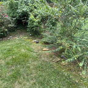 Flower Bed Weeding by Haines Lawn Care reviewed on June 27, 2025