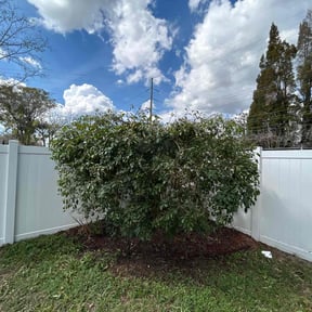 Bush Trimming by ABC Lawn and Waterscapes reviewed on April 25, 2022