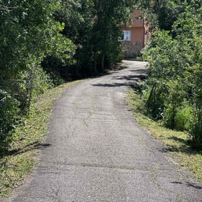 Weeding by Scotty&#039;s Lawn Care reviewed on August 9, 2024