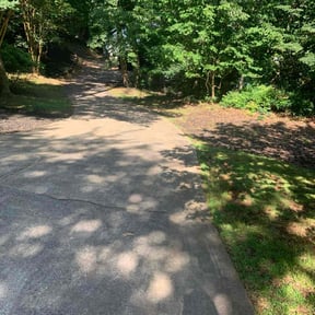 Bush Trimming by Unique Landscaping and Designs reviewed on April 20, 2022